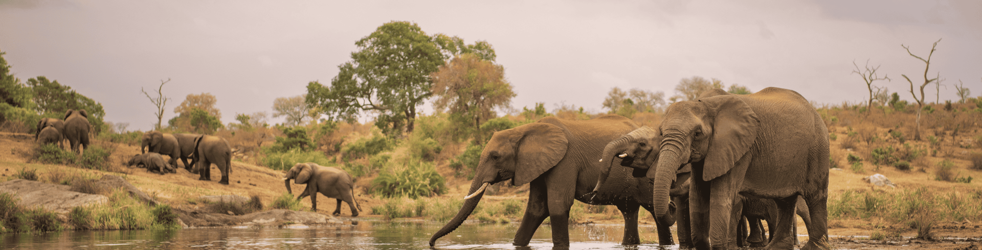 �frica do Sul Fascinante